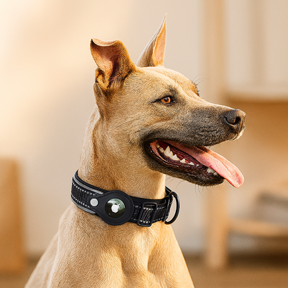 PawTrack™ - AirTag Collar